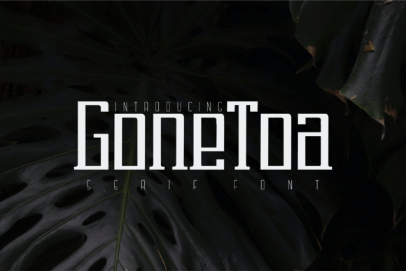 Gonetoa: A Serif Font for Polished Branding