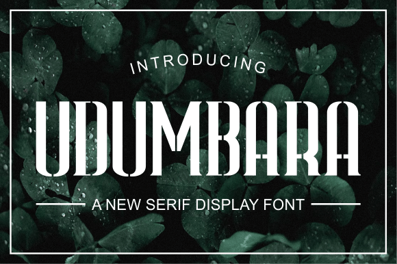 Udumbara: A Designer’s Review of This Elegant Serif